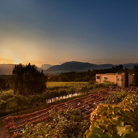 Appartamento Weingut Stuck Appiano Sulla Strada Del Vino Esterno foto