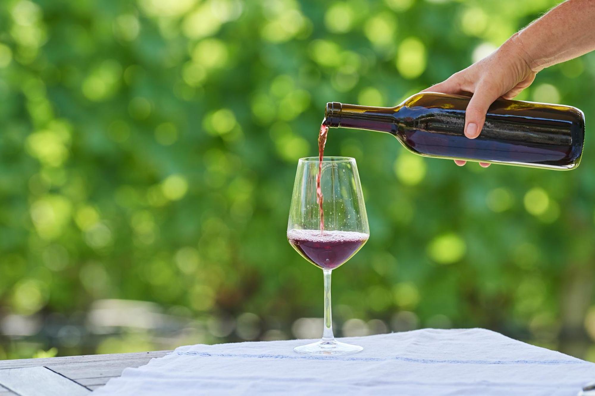 Appartamento Weingut Stuck Appiano Sulla Strada Del Vino Esterno foto