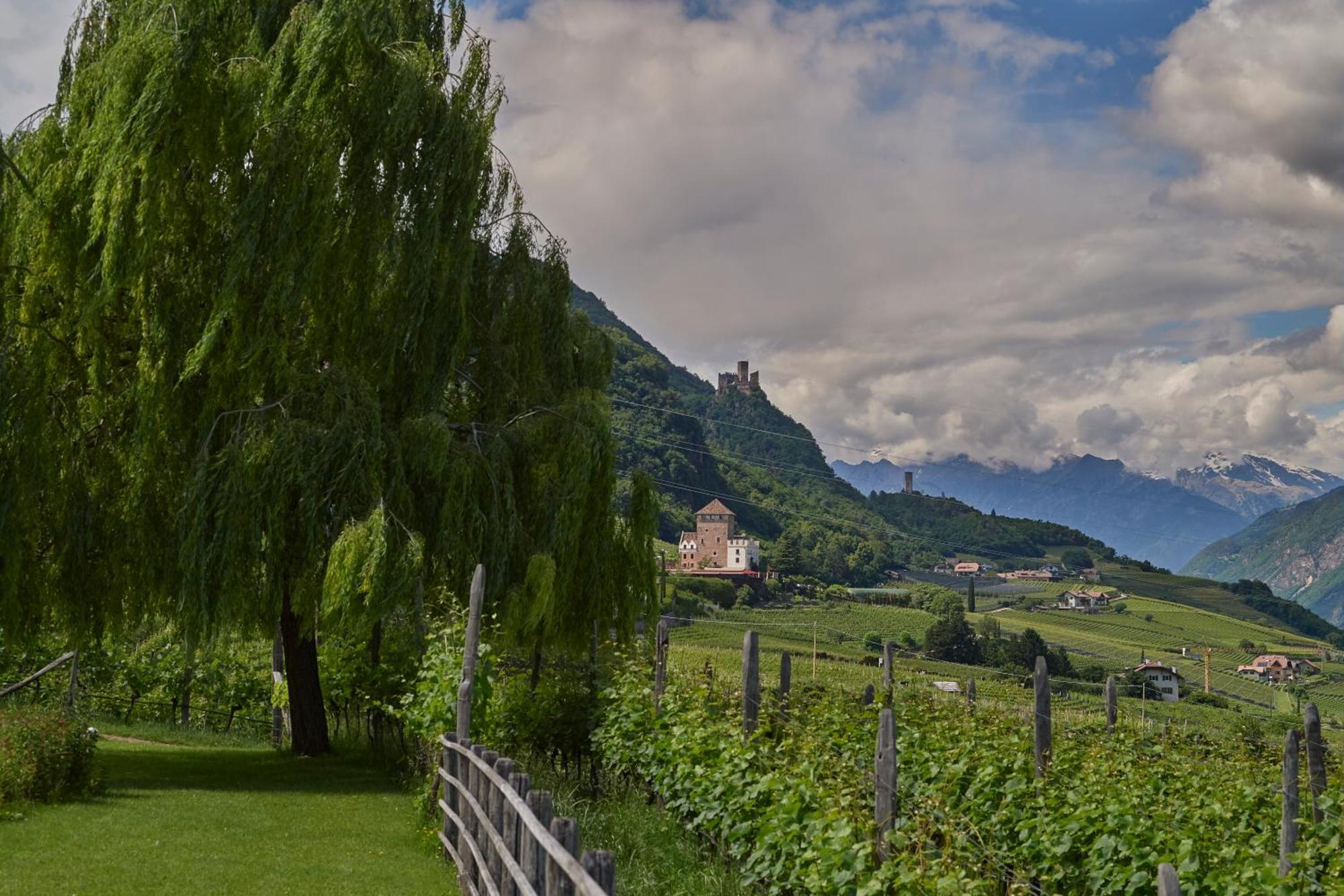 Appartamento Weingut Stuck Appiano Sulla Strada Del Vino Esterno foto