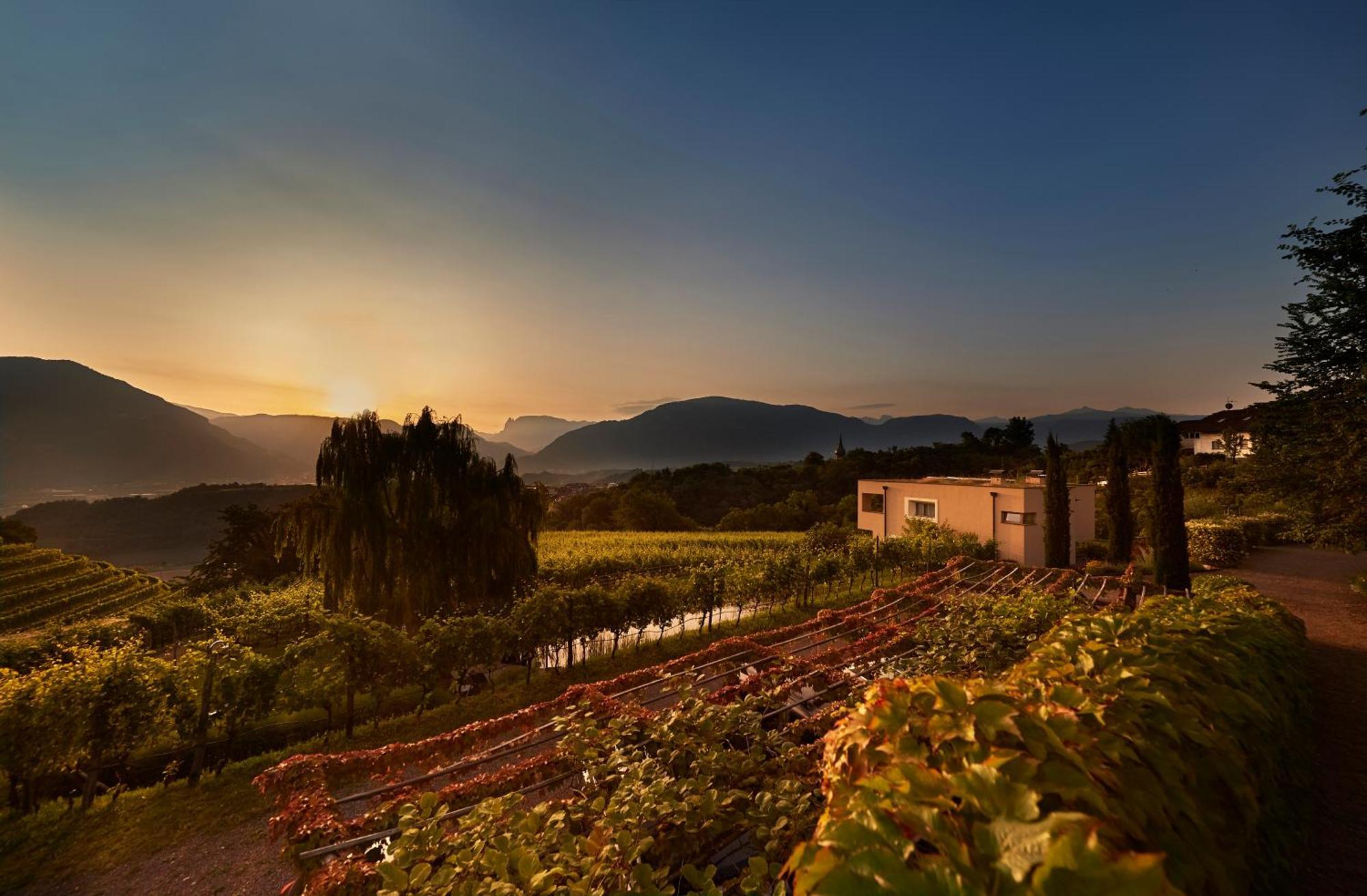 Appartamento Weingut Stuck Appiano Sulla Strada Del Vino Esterno foto