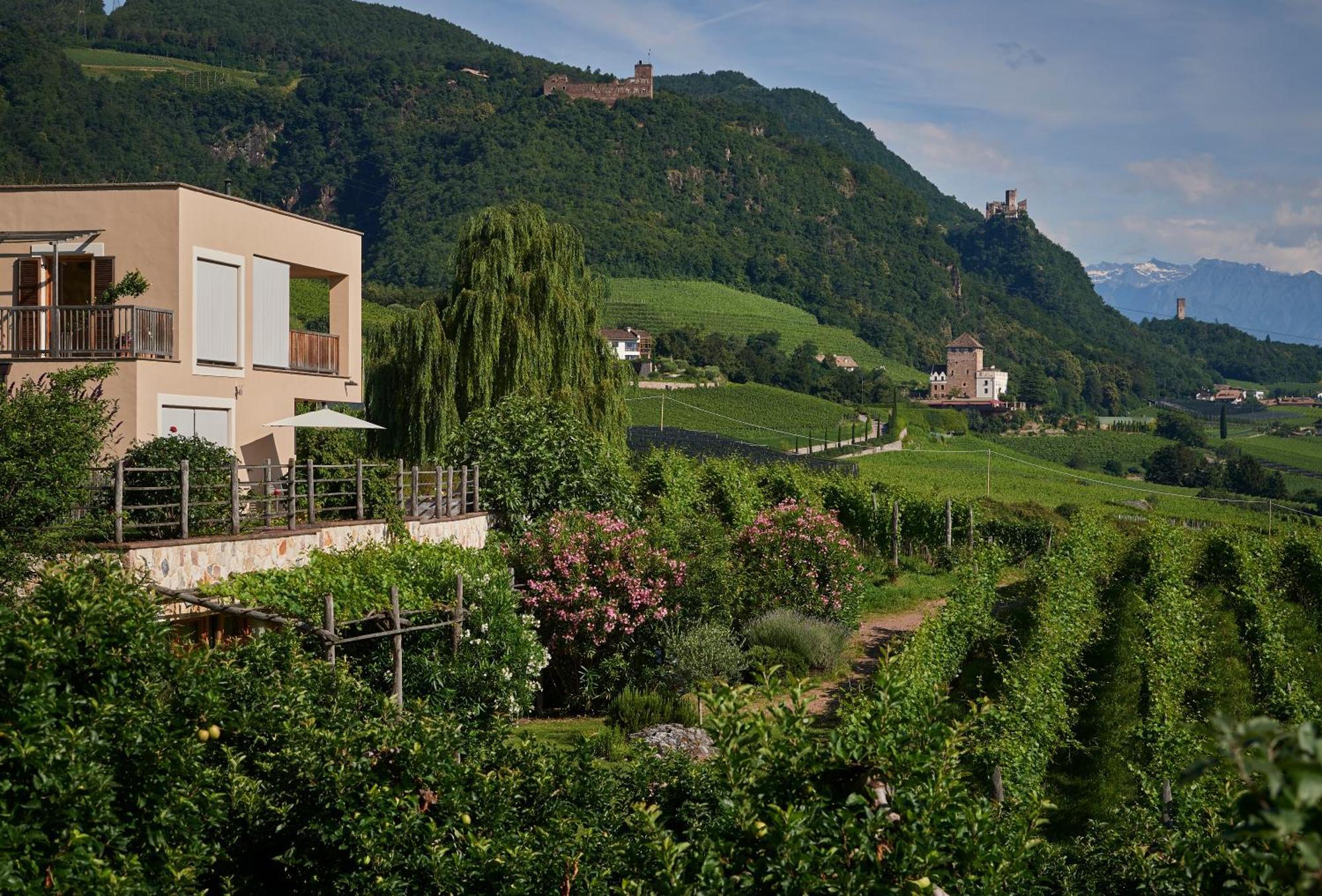 Appartamento Weingut Stuck Appiano Sulla Strada Del Vino Esterno foto
