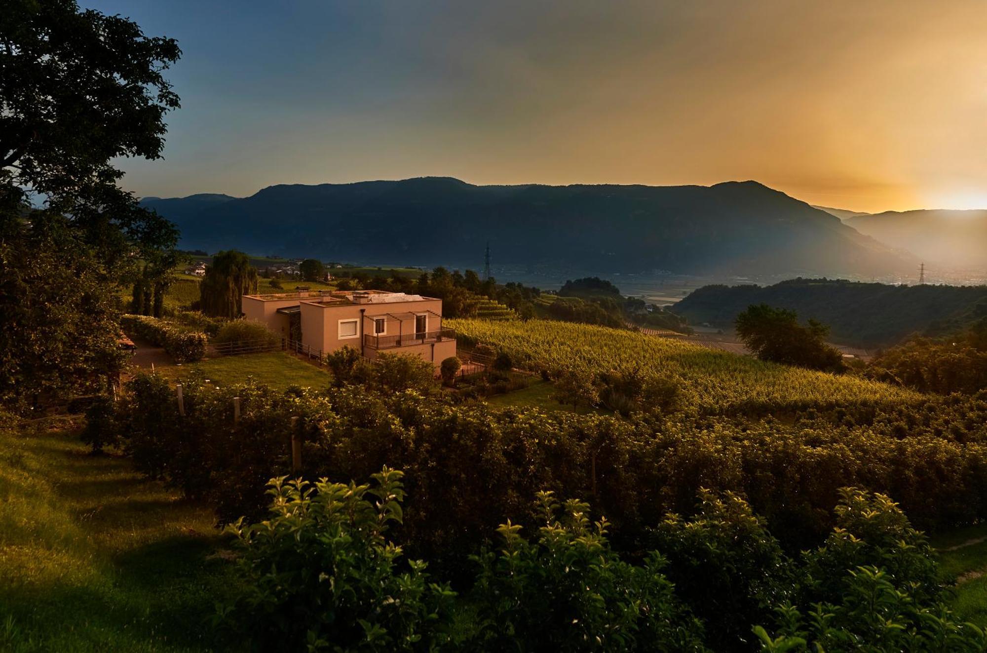 Appartamento Weingut Stuck Appiano Sulla Strada Del Vino Esterno foto