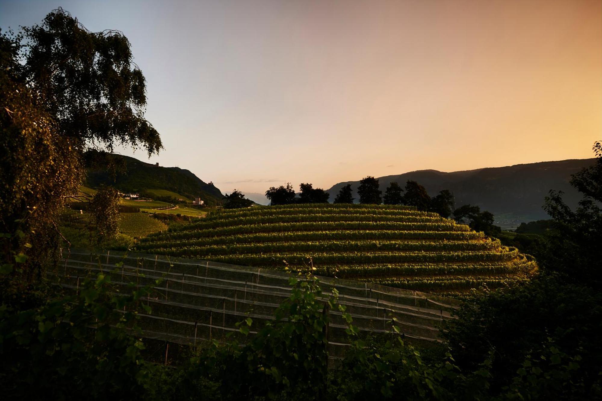 Appartamento Weingut Stuck Appiano Sulla Strada Del Vino Esterno foto